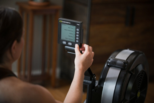 Гребной тренажер Concept2 Rowerg Standart (D)