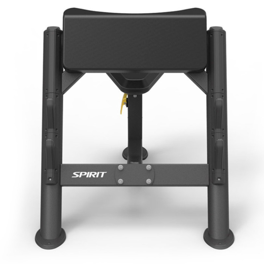 Скамья Скотта Spirit SP-4206 Скамья Скотта Spirit SP-4206