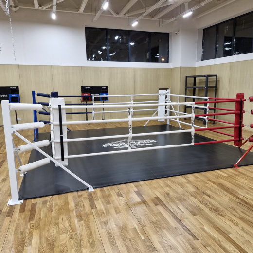 Ринг боксерский напольный на "упорах" Fighttech BR1 - фото 4