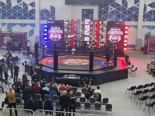 Восьмиугольник турнирный на помосте Fighttech OC4 - фото 4
