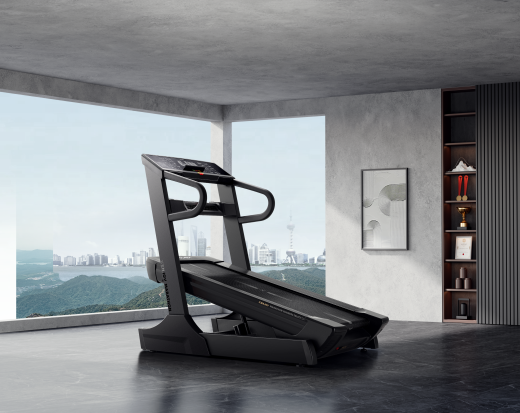 Беговая дорожка марафонская Xenjoy XT55