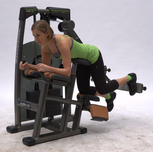 Глют машина Nessfit FW-2500