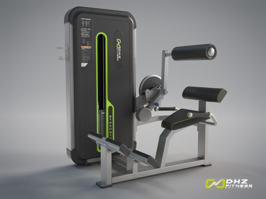 Разгибание спины. Стек 109 кг. DHZ A-3031 (U3031A)