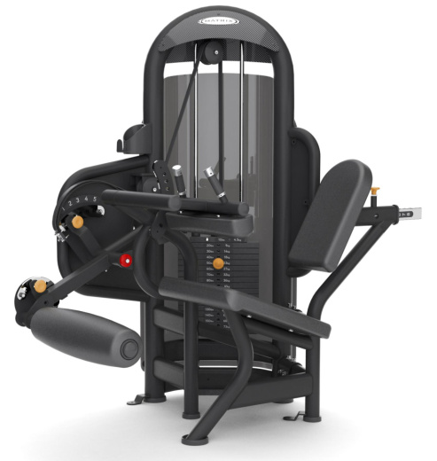 Сгибание ног сидя Matrix G3 S72