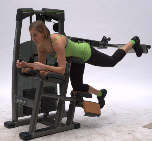 Глют машина Nessfit FW-2500