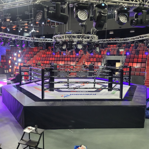 Арена для Ural FC Fighttech MR8 - фото 4