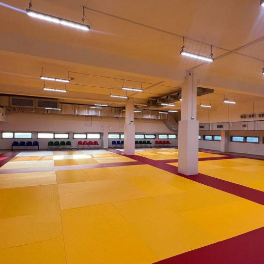 Татами JUDO 100х200х4см Fighttech TJ - фото 5