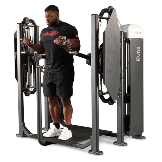 Независимый бицепс/трицепс стоя Panatta 1FE155