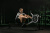 Гребной тренажер Concept2 Rowerg Standart (D) - фото 5