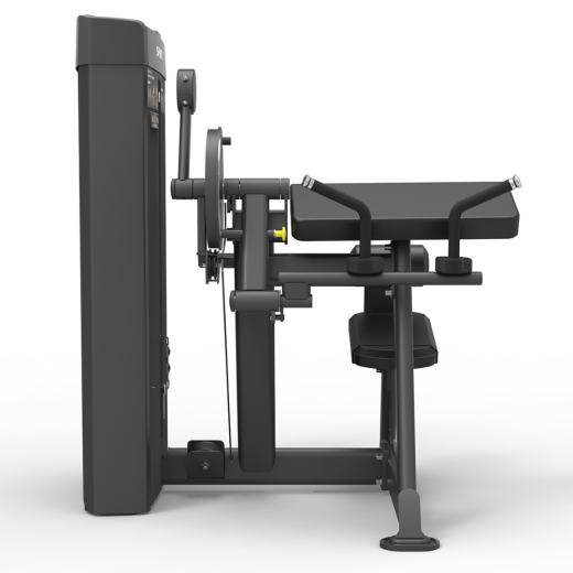 Бицепс/трицепс сидя Spirit SP-4607