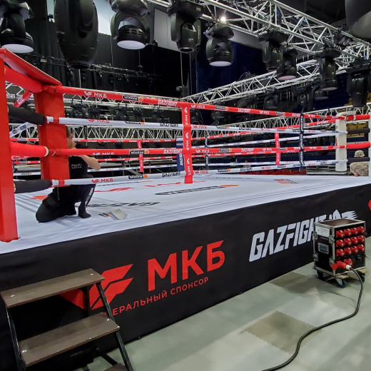 Ринг боксерский турнирный на помосте Fighttech BR9 - фото 3