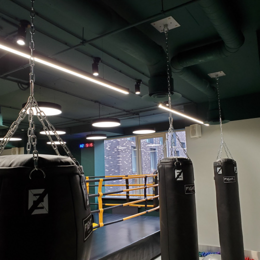 Подвес потолочный с встроенным подшипником Fighttech FS4B - фото 3