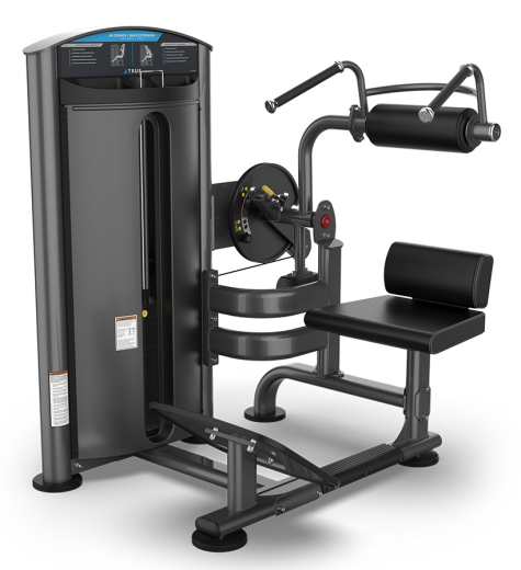 Брюшной пресс / Разгибание спины True SD-1004H