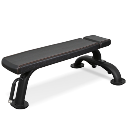 Скамья горизонтальная Bronze Gym BR-1002