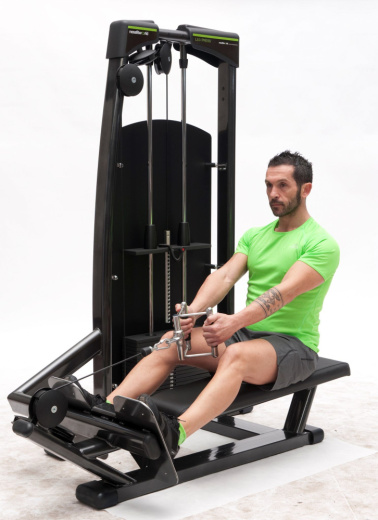 Гребная тяга Nessfit FW-5500 Гребная тяга Nessfit FW-5500