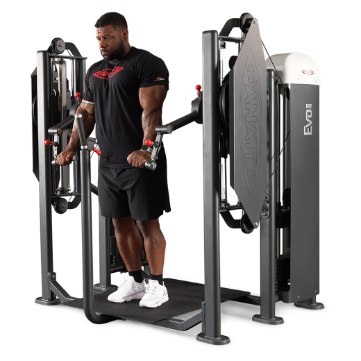 Независимый бицепс/трицепс стоя Panatta 1FE155