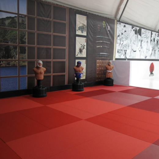 Татами JUDO 100х200х4см Fighttech TJ - фото 4