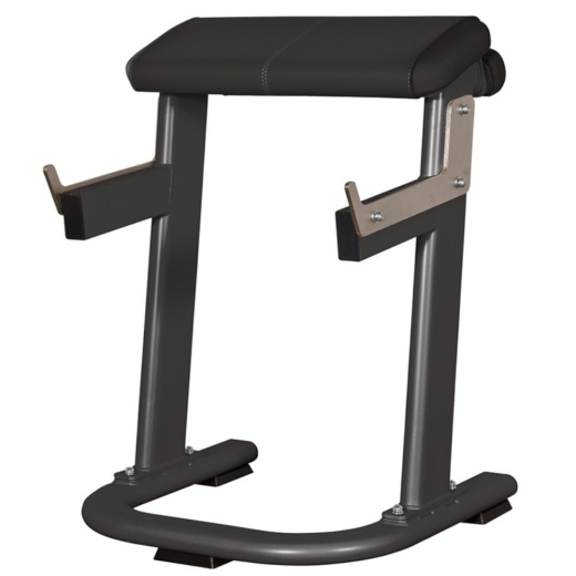 Подставка для сгибания рук стоя (парта Скотта) Spirit AFB142