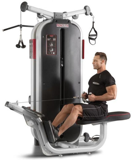 Jungle machine 4-в-1 Мультистанция Panatta 1MTH115