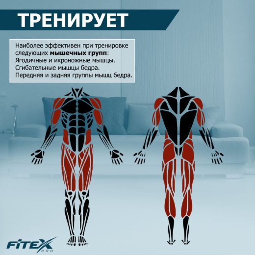 Скоростной велотренажер Fitex PREMIER PROF-M - фото 3
