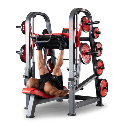 Вертикальный жим ногами с комплектом для балансировки Panatta 1FW193F - фото 4