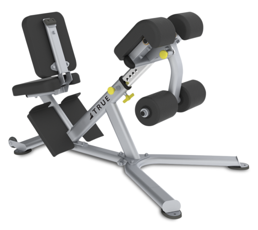 Скамья для пресса и разгибания спины True FS-22