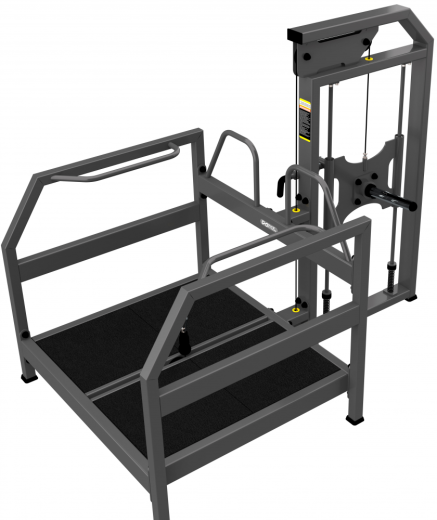 Приседания с поясом DHZ A-3067