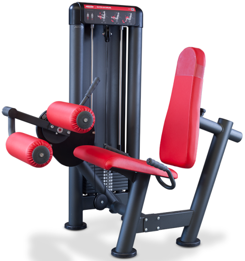 Сгибание ног сидя Panatta 1SC083 - фото 1