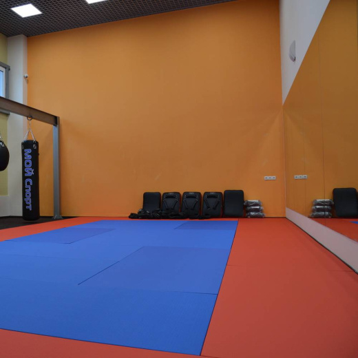 Татами JUDO 100х200х4см Fighttech TJ - фото 3