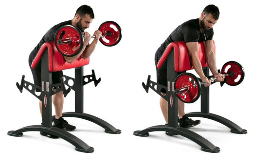 Скамья для бицепса стоя Panatta 1HP215 - фото 2