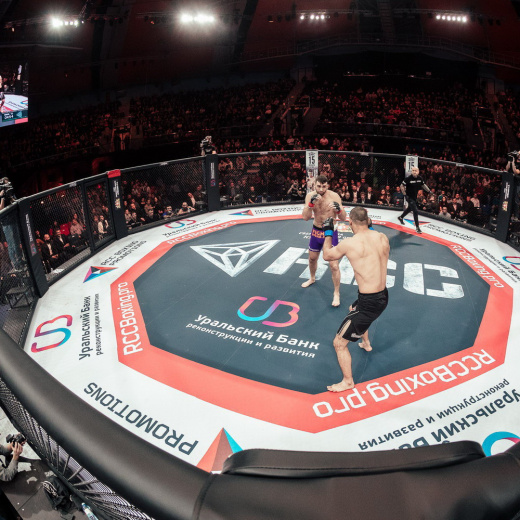 Восьмиугольник турнирный на помосте Fighttech OC4 - фото 2