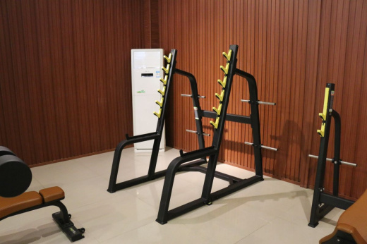 Стойка для приседаний с ограничителями DHZ E-1050В