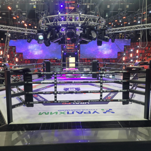 Арена для Ural FC Fighttech MR8 - фото 2