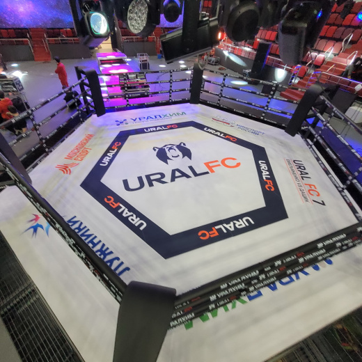 Арена для Ural FC Fighttech MR8 - фото 3