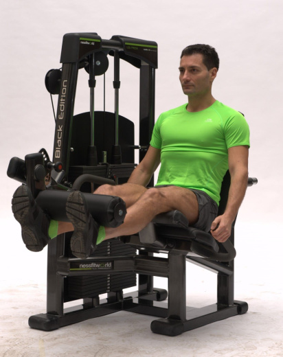 Разгибание ног Nessfit FW-1000