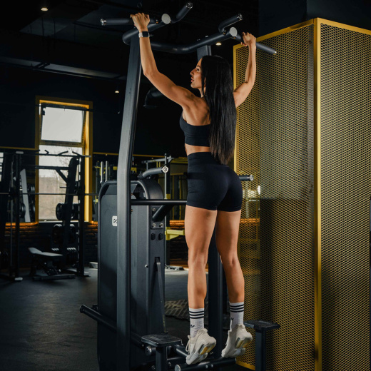 Турник, брусья с противовесом. Стек 135 кг. DHZ E-7009