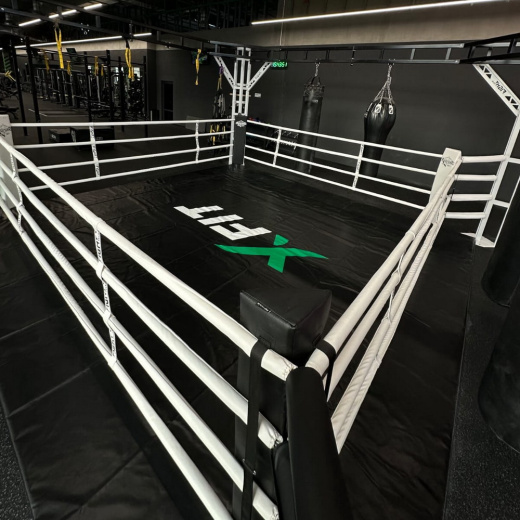 Ринг боксерский в раме Gym in one Fighttech BR4 - фото 3