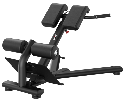 Гиперэкстензия (разгибание спины) Smith RE6010