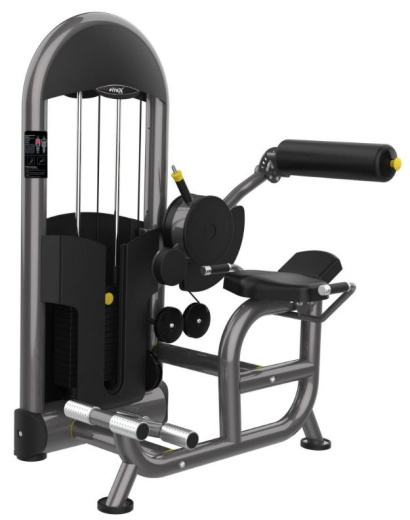 Разгибатель спины Fitex Pro Performance FTX-6217 Разгибатель спины Fitex Pro Performance FTX-6217