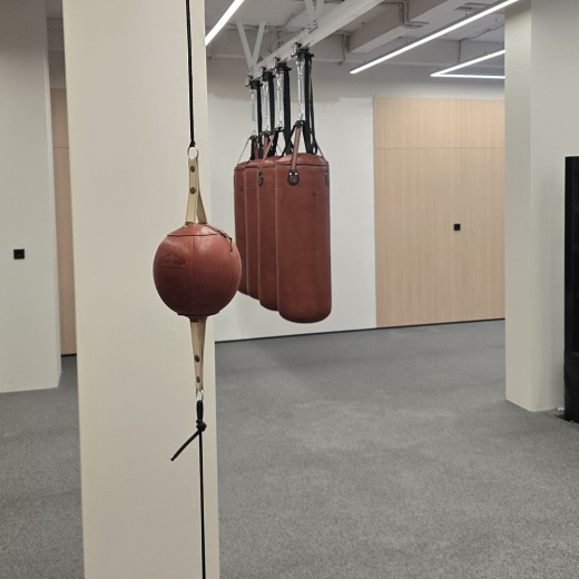 Боксёрская груша на растяжках Fighttech DEBFTALE - фото 2