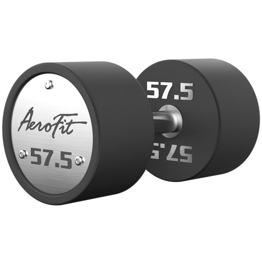 Набор полиуретановых гантелей, 52,5-60 кг, 4 пары AeroFit AFPUDB52,5-60 - фото 2