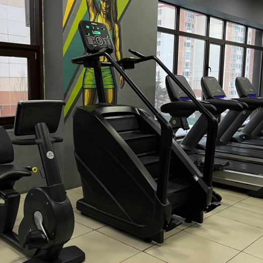 Лестница-эскалатор DHZ D8900