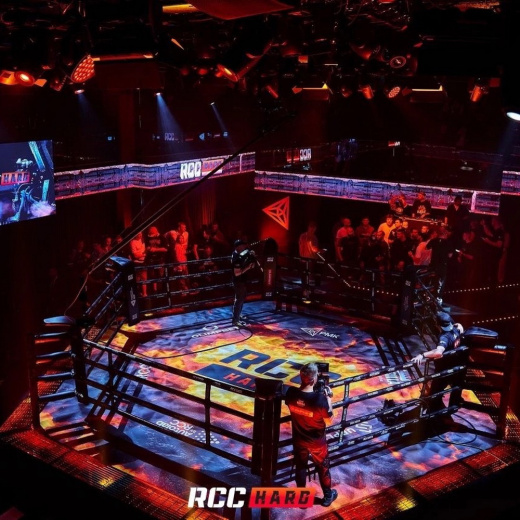 Арена для RCC HARD Fighttech MR6 - фото 4